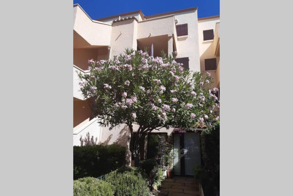 Appartement Calme Entre Terre Et Mer Proche Plage Fleury  Exteriör bild